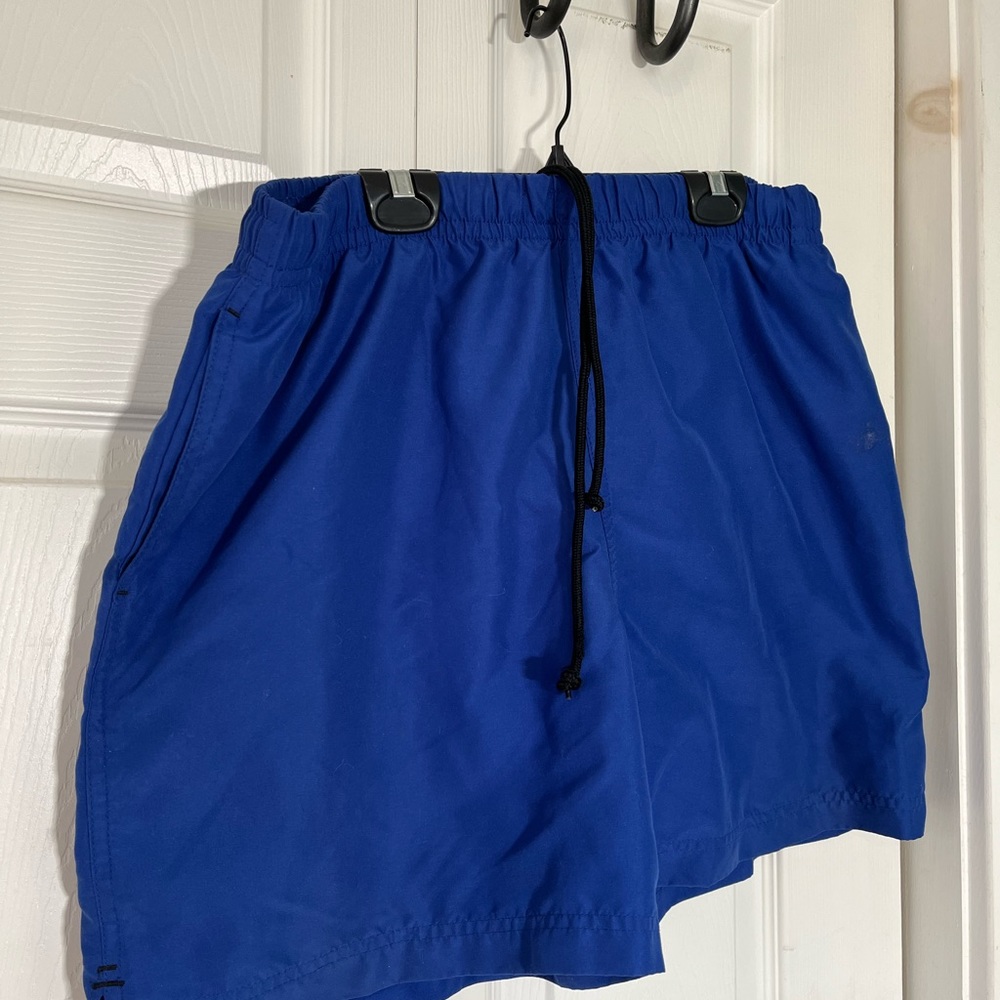Alpine design swim trunk